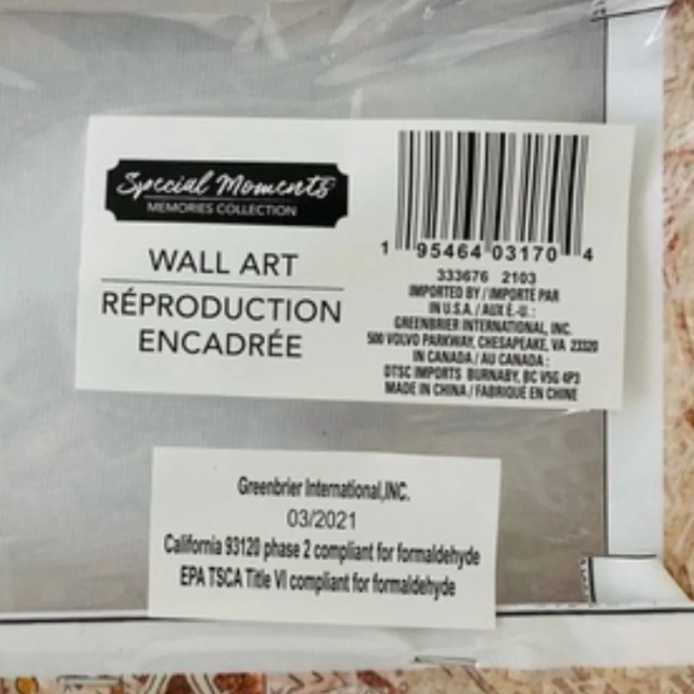 NWT. Mandala Canvas Wall Art in Brown, Tan and Gold!
